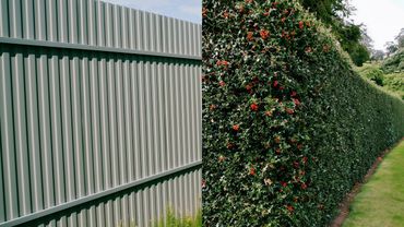 Как Скрыть Забор За Один Сезон? Просто повтори