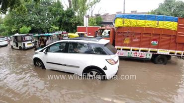14th August 2025: When Delhi became a river, and a tributary of the Yamuna and Ganga riverine system