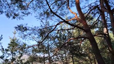 За глупость руководства в работе по найму придется заплатить вам!