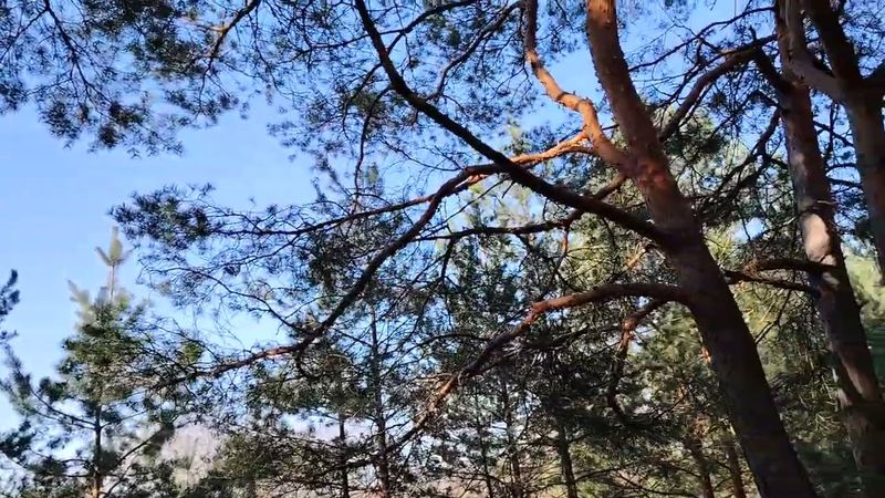 За глупость руководства в работе по найму придется заплатить вам!