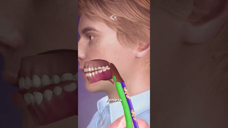 Как мы глотаем