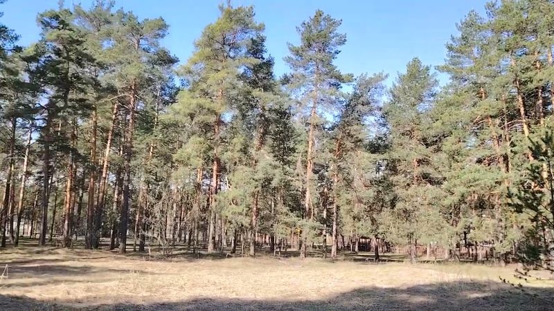 Почему не стоит ехать в Москву на заработки?