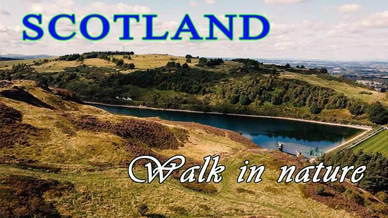 Scottish nature: a walk through beautiful countryside