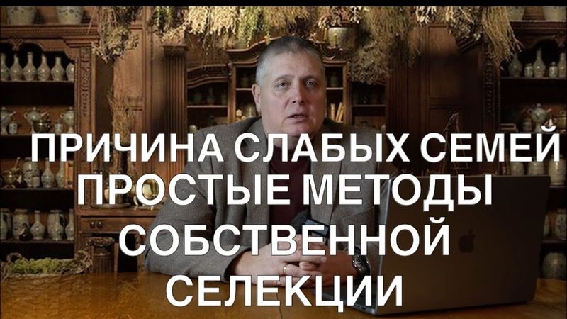 ПРИЧИНА СЛАБЫХ СЕМЕЙ. ПРОСТЫЕ МЕТОДЫ СОБСТВЕННОЙ СИЛЕКЦИИ