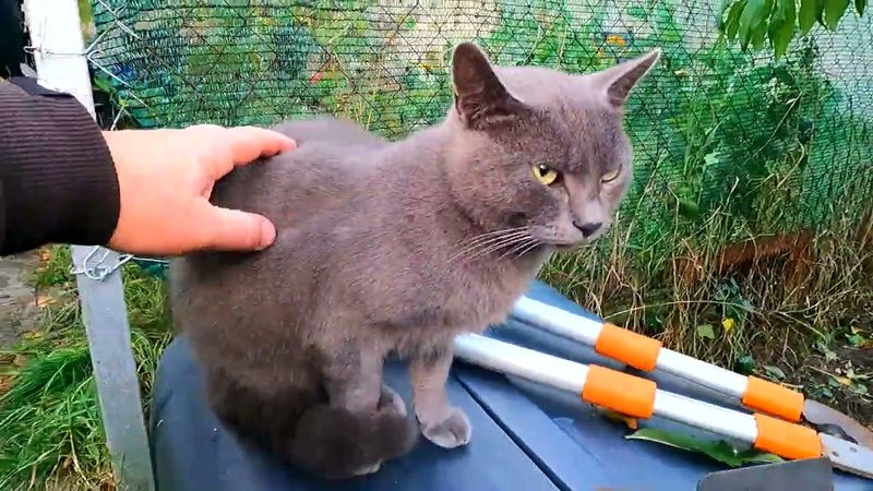 #Славянск. 5 октября 2025г. Вечер.