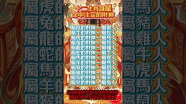 【十二生肖誰是命中注定的財神】每個生肖都有自己的旺財貴人，找到對的人 財路自然會打開！ #生肖 #財運 #運勢 #屬相 #風水 #命理