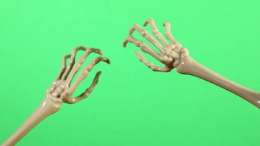 The Best Realistic Skeleton Hand Split | Green Screen VFX