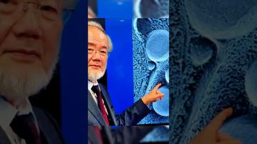 Научные открытия в Исламе! #shotrs