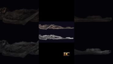 2,500-year-old Siberian ‘ice mummy’ had intricate tattoos, imaging reveals