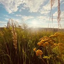 xdinary heroes-again?again! #music #on #fyp #lyric #rock #xdinaryheroes 