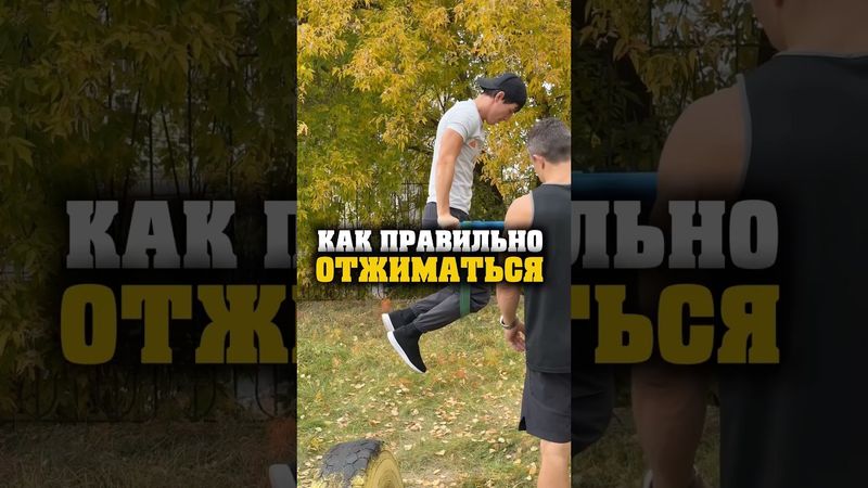 КАК ПРАВИЛЬНО ОТЖИМАТЬСЯ