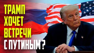 Трамп: Ничего не произойдет, пока мы с Путиным не встретимся