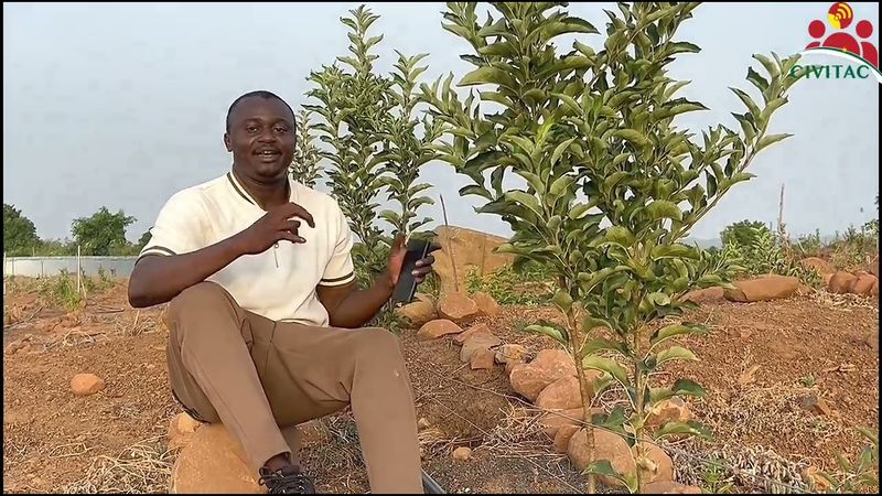 Agriculture au Burkina : les secrets de la culture du pommier à Bama