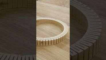 Wanna Twist Some Wood? #woodworking #fun #howtomake #diy #toy #목공