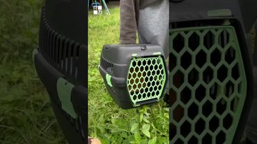 💥 Наслідки атаки на Львів: Вулиця Митрополита Андрея