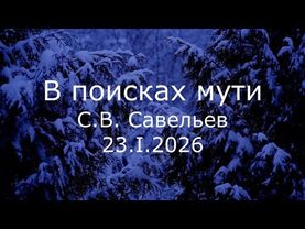 С.В. Савельев - В поисках мути