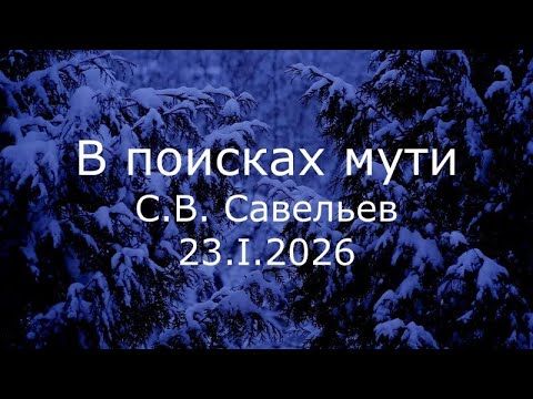 С.В. Савельев - В поисках мути