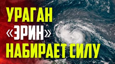 Самолет США летит в эпицентр урагана «Эрин» для сбора критически важных данных о шторме