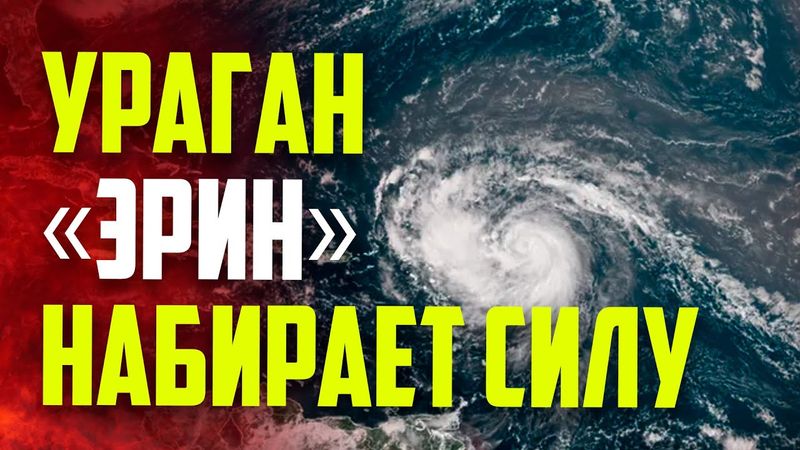 Самолет США летит в эпицентр урагана «Эрин» для сбора критически важных данных о шторме