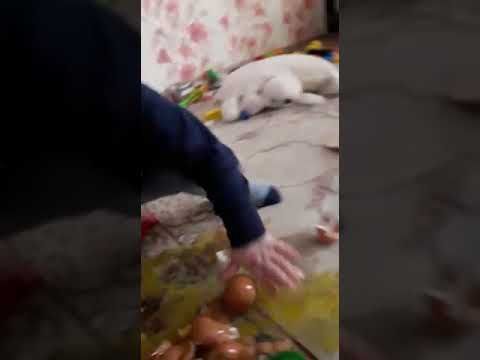 Готовим с любовью !  😁😁😁  Будущий кондитер !   ❤