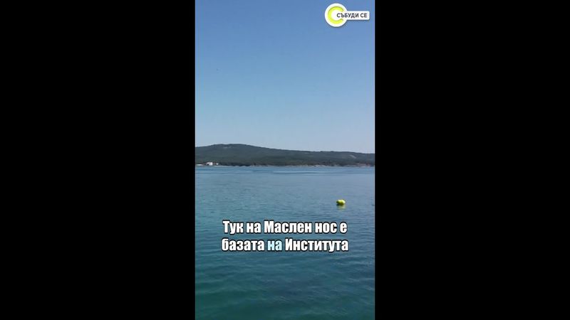 Морската вода в България – втората по чистота в Европа #събудисе #sabudise #nova #море #българия