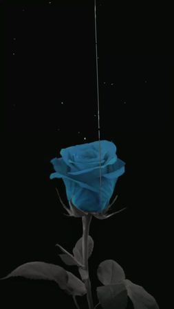 ✋🏿🖤 #_______________________________ #افغانستان #پنجشیر #بغلانی #TOFA...