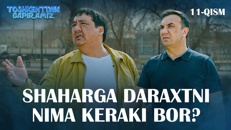 SHAHARGA DARAXTNI NIMA KERAKI BOR? "Toshkentdan Gapiramiz" 11-qism