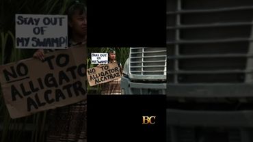 Protesters line highway in Florida Everglades to oppose ‘Alligator Alcatraz’