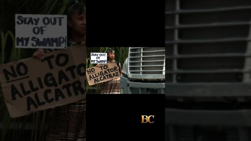 Protesters line highway in Florida Everglades to oppose ‘Alligator Alcatraz’