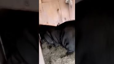 Когда шлепнул девушку по попе :) :)