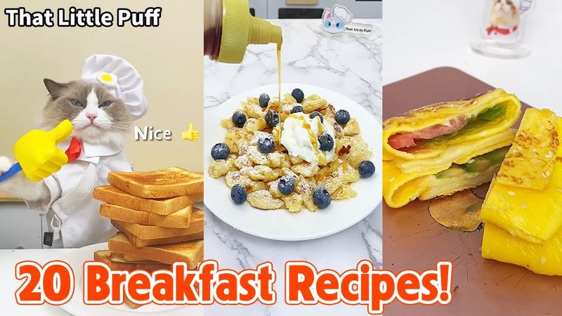 Meow Chef: 20 Breakfast Recipes!  | That Little Puff