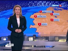 Дарья Сметанина - "Вести. Погода" (18.11.13)