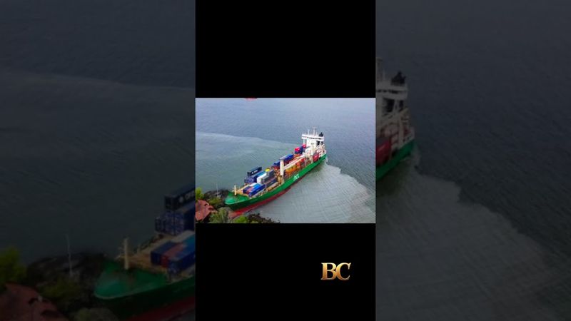 Massive cargo ship runs aground just feet from Norwegian man’s home