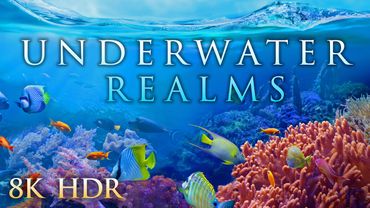Vivid Coral Reefs in 4K HDR: " Underwater Realms" 1 Hour Ambient Nature Relaxation Film + Music