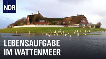 Die Familie von Hallig Süderoog | die nordstory | NDR Doku