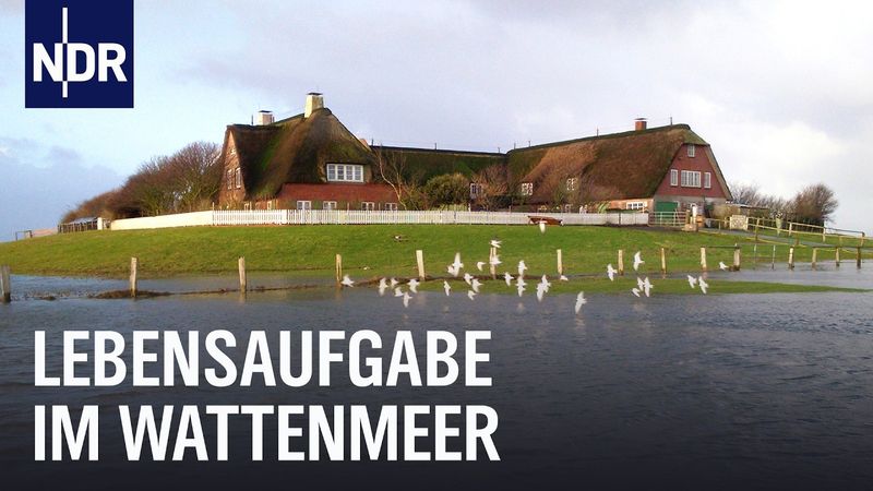 Die Familie von Hallig Süderoog | die nordstory | NDR Doku