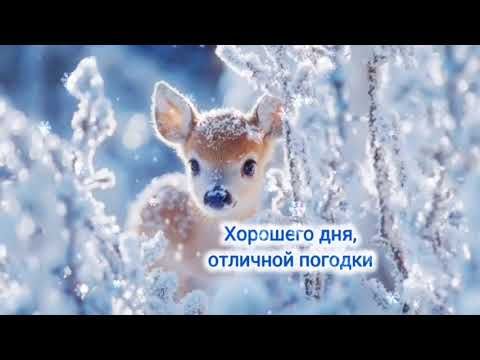 Доброе утро,хорошего дня,музыкальная открытка с добрым утром! #открытка #shorts