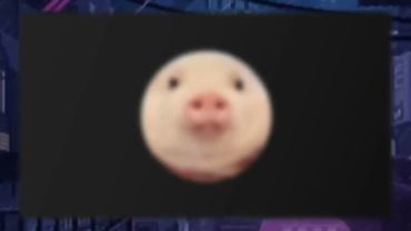 СМОТРИМ ОТВЕТКУ ШАЙКИ МОРФИ // САЙКО ДОВЕЛА РЕБЕНКА ДО БОЛЬНИЦЫ!?