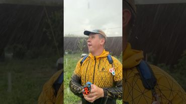 БОРЬКА и ГРОМ