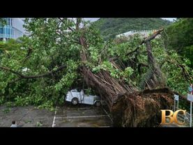 Typhoon Wipha topples trees and causes major flight disruptions in Hong Kong