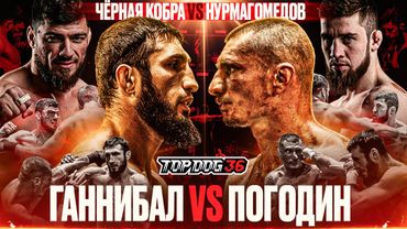 Hannibal VS Pogodin, Black Cobra VS Nurmagomedov | Championship fight | TOP DOG 36, Saint Petersburg