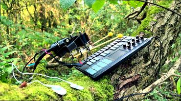 Moss Playing Keyboard