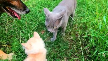 #Славянск. 30 августа 2025г. Вечер.