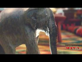 Комната Отсутствия в Нижегородском Чайном Клубе МАТЭ на Рождественской,40