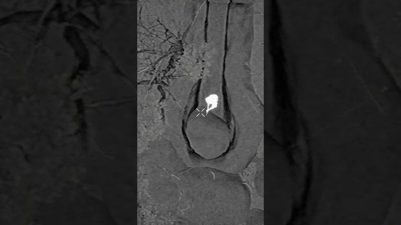 FPV drones are a nightmare...