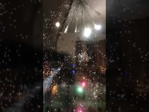 Собака и Салют 2019