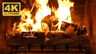 Birchwood Crackling Fireplace | Realistic Virtual Fire from Fireplace For Your Home - 4K UHD