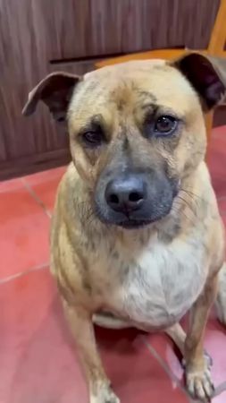 ##Viral #Trending #FYP (For You Page) #ExplorePage #MustWatch #Millio...