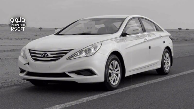 خليجي طرب 2026 | مالك حبيب الا انا , وشفيه لو اسال عليك انغبت يوم - مطلوب اكثر شيء