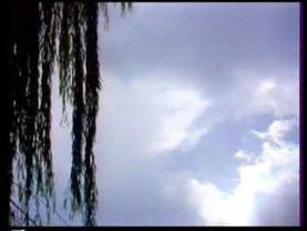 Одина Ҳошимов. Лаззати дидор.